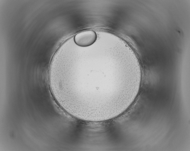 X0000110881338200906180937