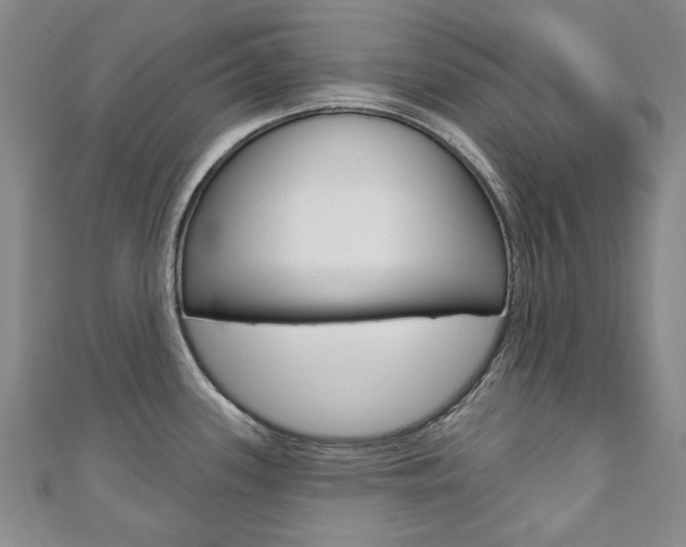 X0000110881339200906180937
