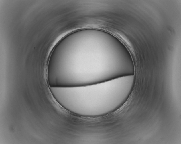 X0000110881340200906180937