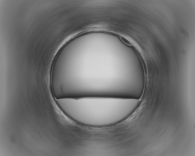 X0000110881341200906180937