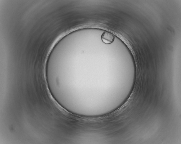 X0000110881342200906180937