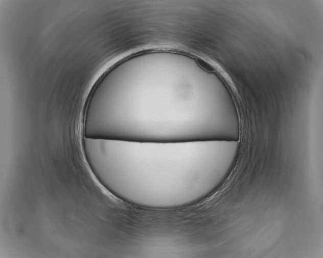 X0000110881343200906180937