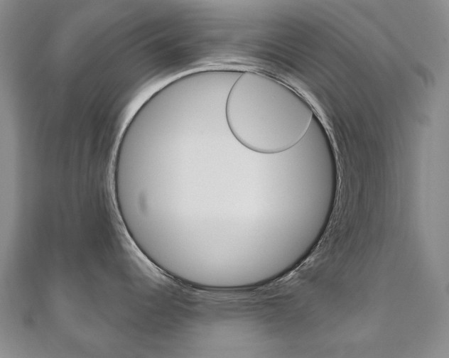 X0000110881344200906180937
