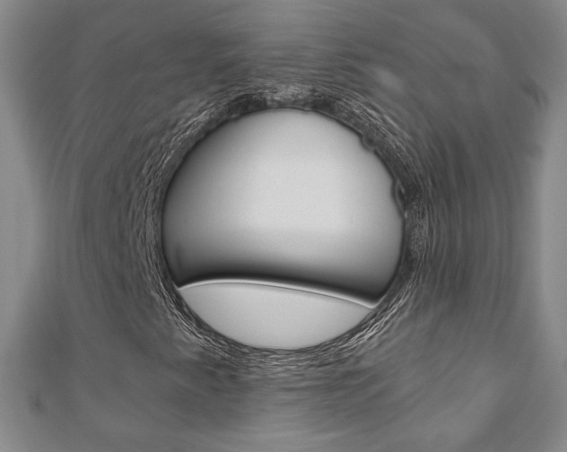 X0000110881345200906180936