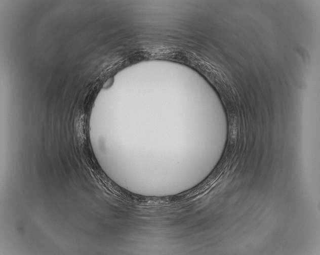 X0000110881346200906180936