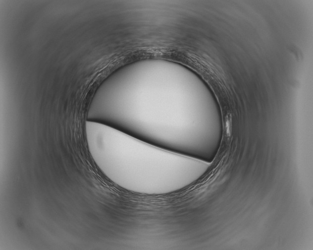 X0000110881347200906180936