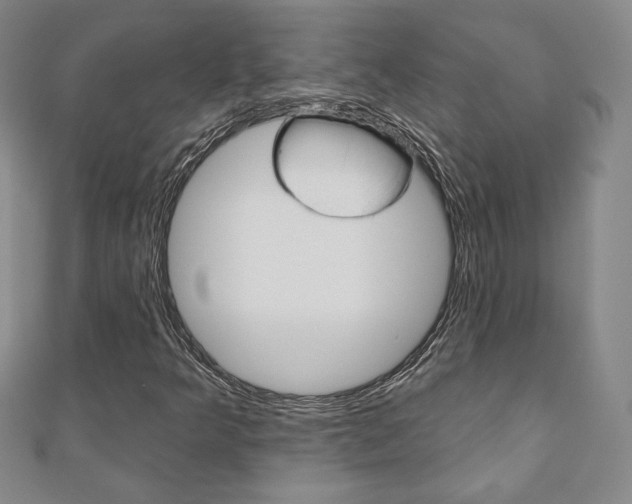 X0000110881349200906180936