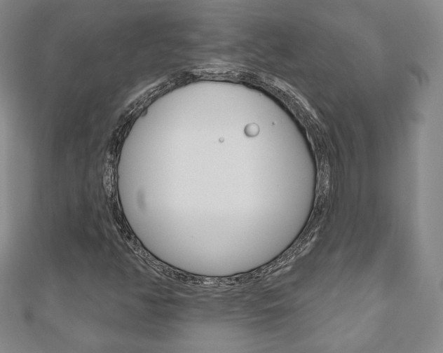 X0000110881350200906180936