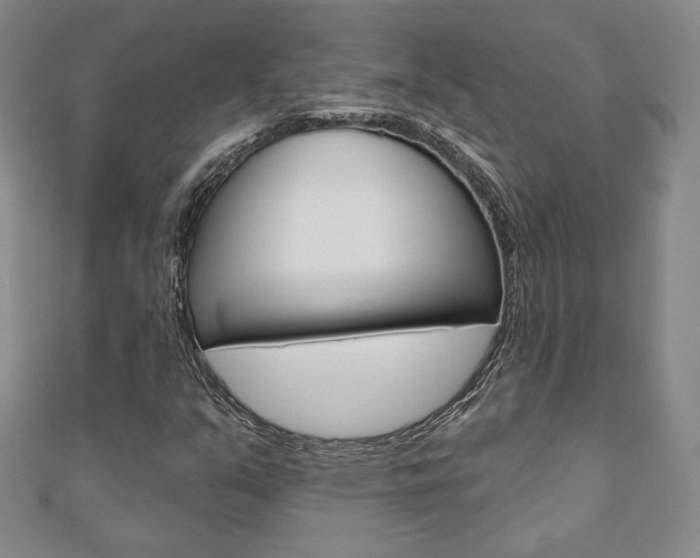 X0000110881351200906180936