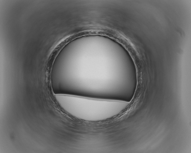 X0000110881352200906180936