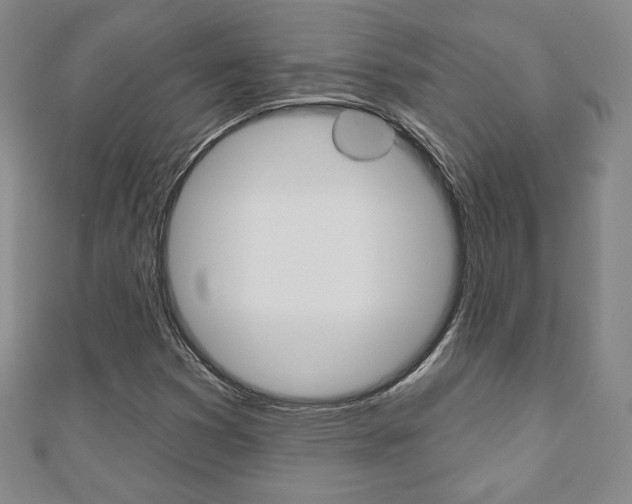 X0000110881353200906180936