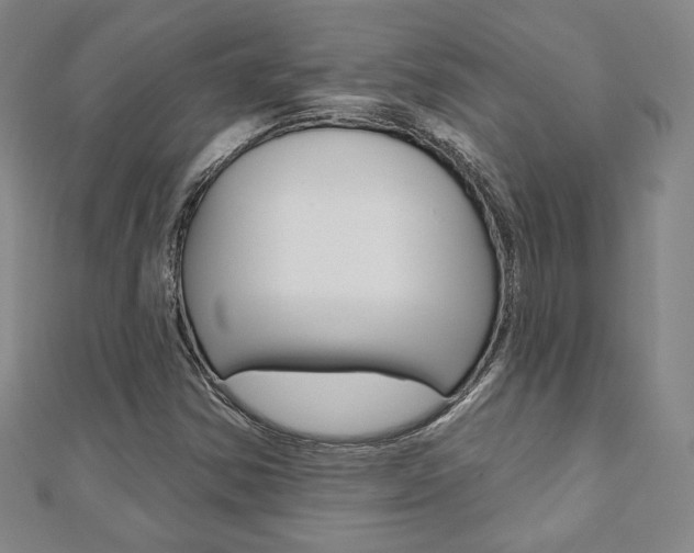 X0000110881354200906180936