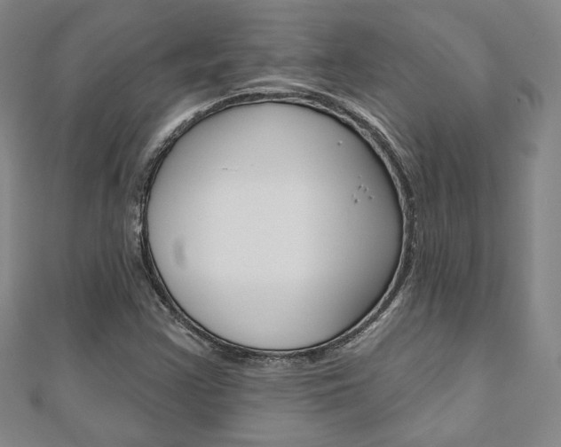 X0000110881355200906180936