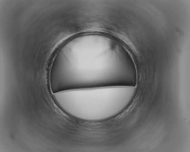 X0000110881356200906180936