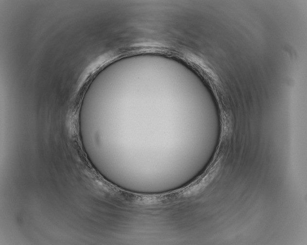 X0000110881357200906180936