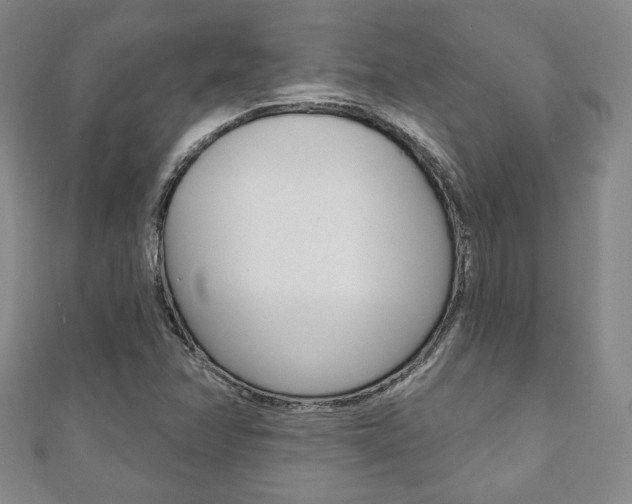 X0000110881358200906180936