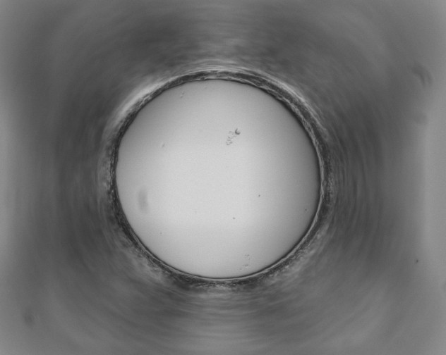 X0000110881359200906180936