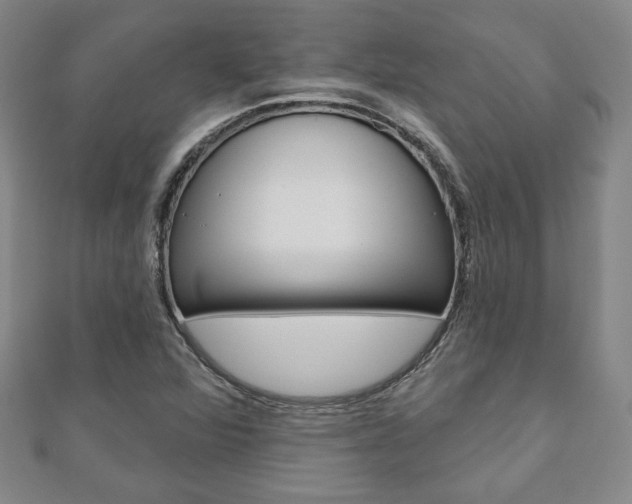 X0000110881360200906180936