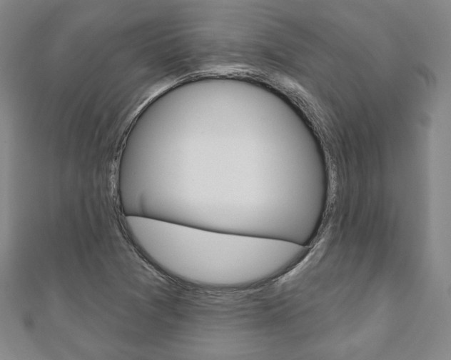X0000110881361200906180936