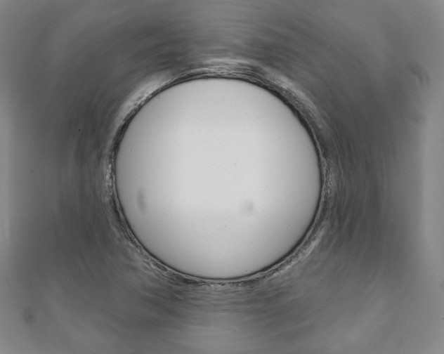 X0000110881362200906180936