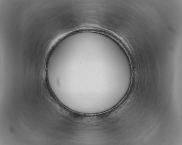 X0000110881363200906180936