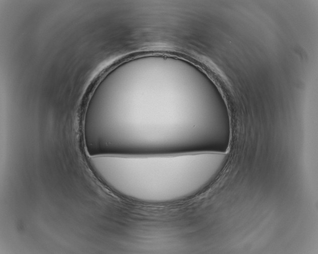 X0000110881364200906180936