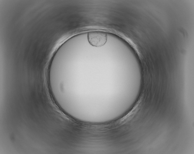 X0000110881365200906180936