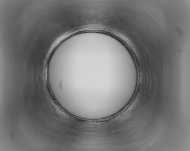 X0000110881366200906180936