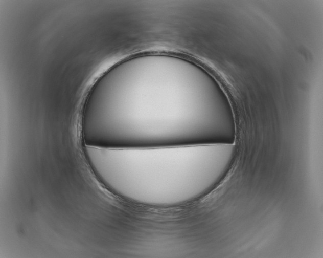 X0000110881367200906180936