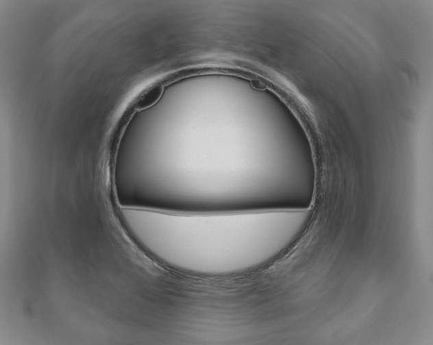 X0000110881368200906180936