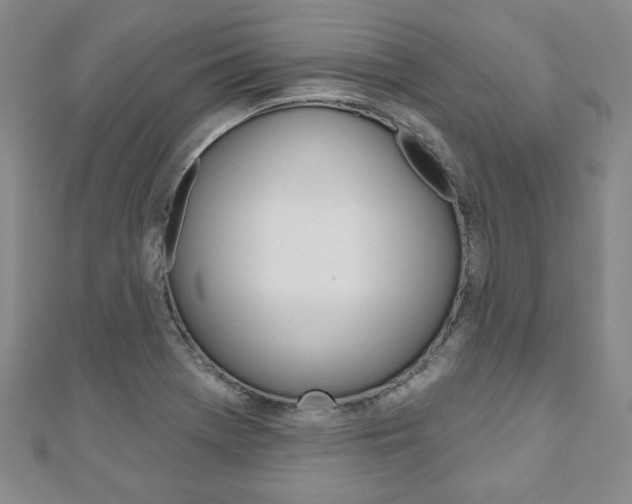 X0000110881369200906180936
