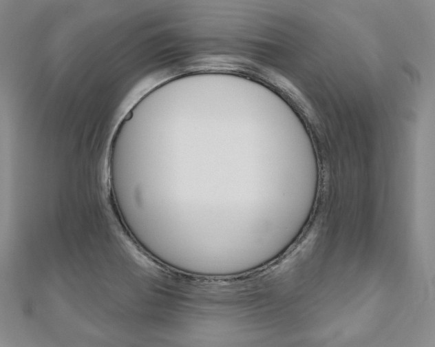 X0000110881370200906180936