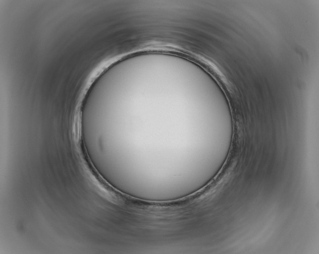 X0000110881371200906180936