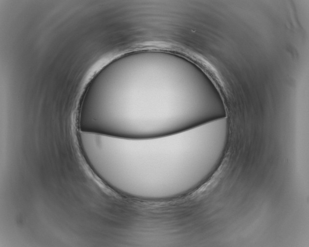 X0000110881373200906180936