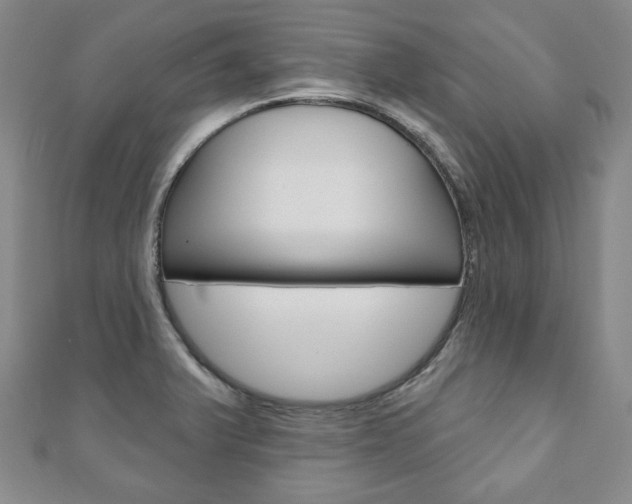 X0000110881375200906180936