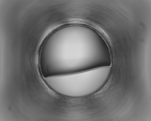 X0000110881376200906180936
