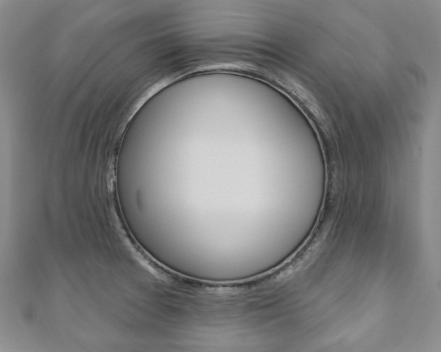 X0000110881377200906180936