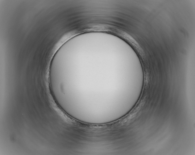 X0000110881378200906180936