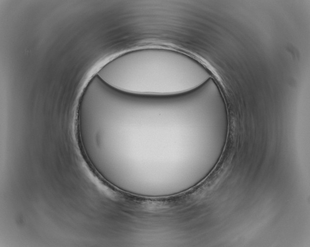 X0000110881379200906180936