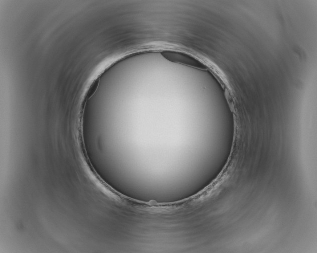 X0000110881381200906180936