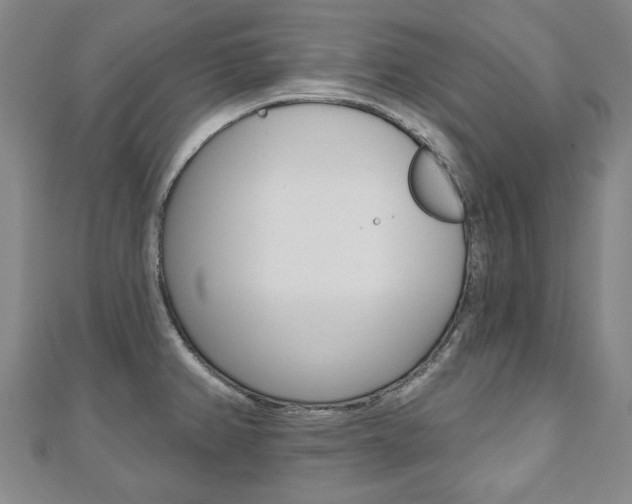 X0000110881382200906180935
