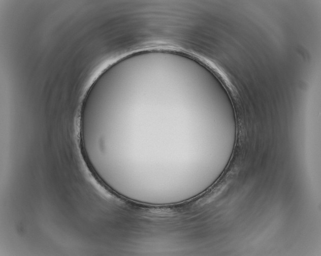 X0000110881383200906180935