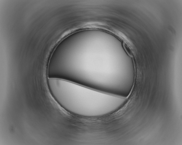 X0000110881384200906180935