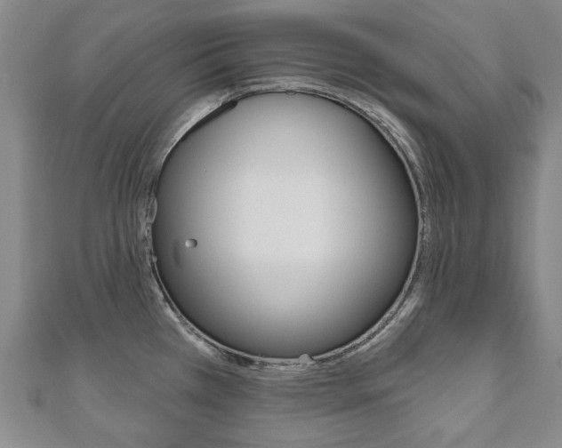 X0000110881385200906180935