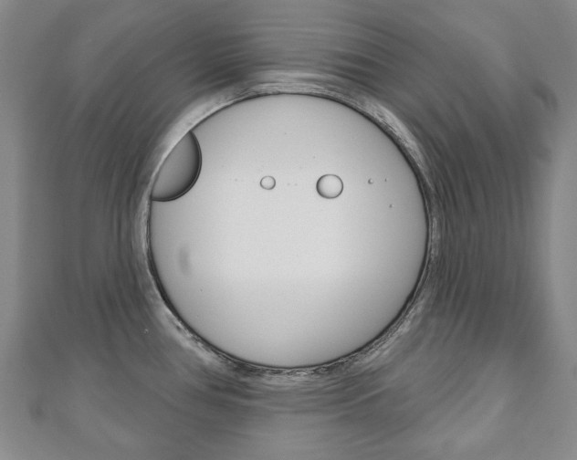 X0000110881386200906180935