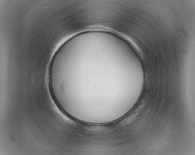 X0000110881387200906180935