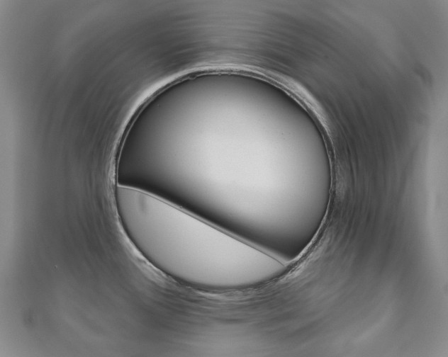 X0000110881388200906180935