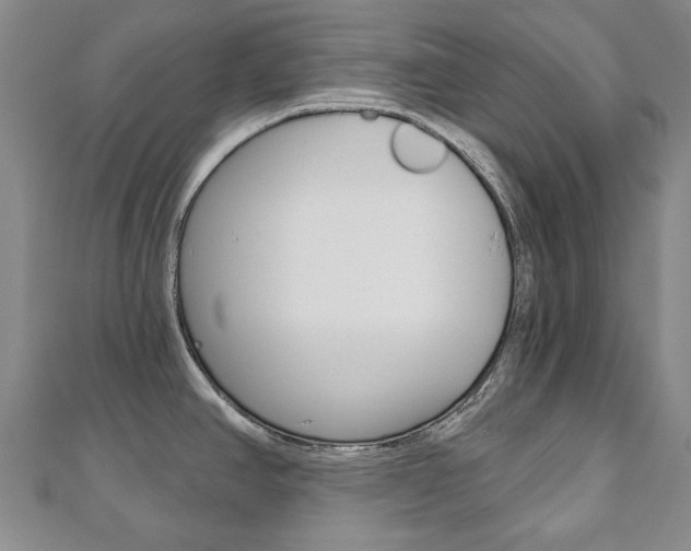 X0000110881390200906180935