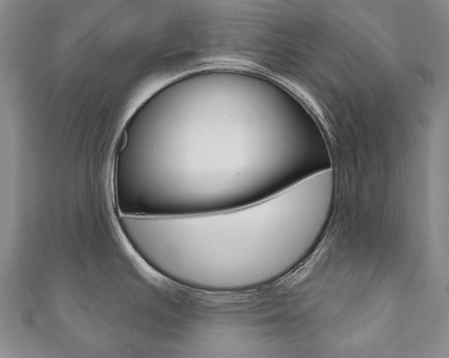 X0000110881391200906180935