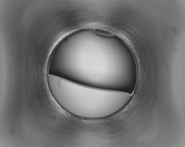 X0000110881392200906180935